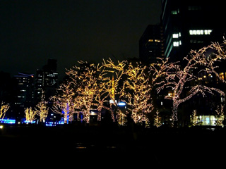 写真: 21_21から見るミッドタウンの夜景 (2008.1.12)