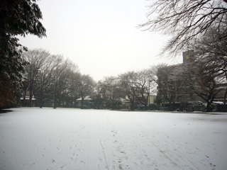 写真: 神社も一面雪 (2008.1.23)