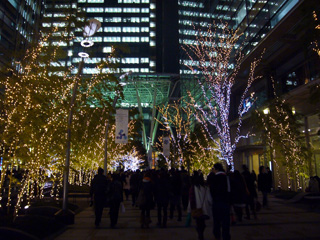 (写真) Illuminated Tokyo Midtown (1) (2008.12.24)