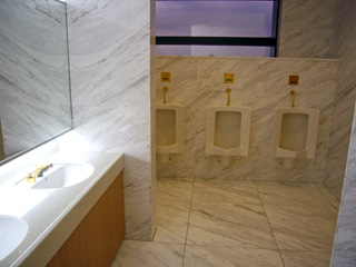 写真: 神聖なる金のトイレ (1) (2009.3.24)