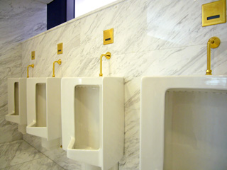 写真: 神聖なる金のトイレ (2) (2009.3.24)