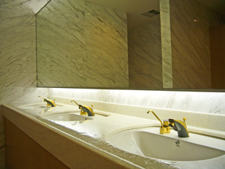 写真: 神聖なる金のトイレ (3) (2009.3.24)